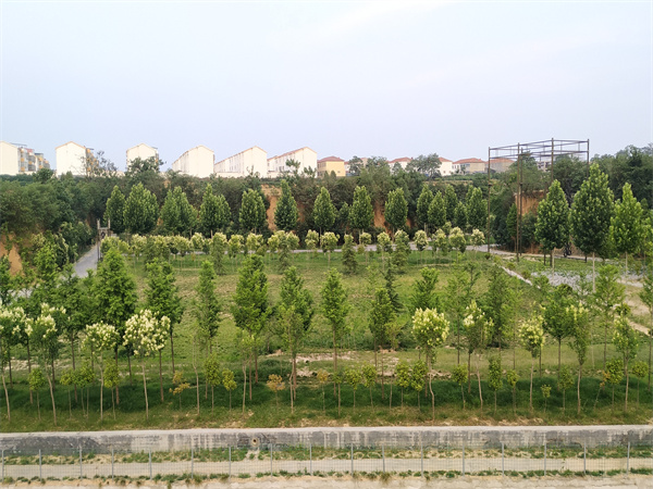 學校環(huán)境
