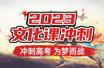 四川邛崍藝考文化課沖刺課程十大排名輔導(dǎo)機(jī)構(gòu)盤(pán)點(diǎn)一覽