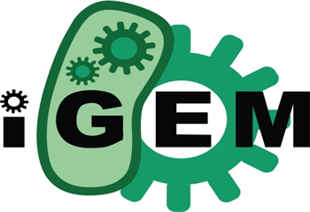 武漢iGEM國際競賽精品課程排名前十輔導機構一覽