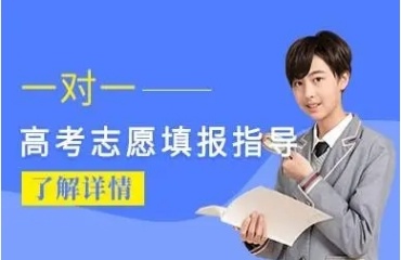 重慶排名好的十大高考志愿填報機構名單匯總一覽