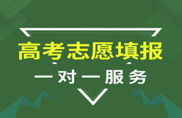 北京專業(yè)的高考志愿填報機構10大排名推薦