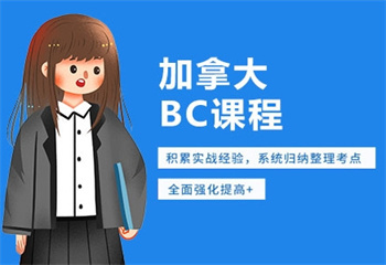 上海BC培訓課程精品培訓班