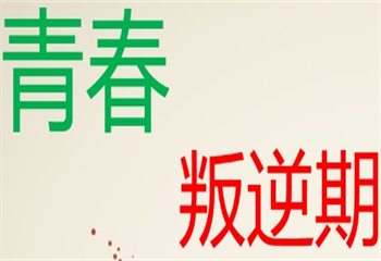 湖北8大解決叛逆期孩子不良品行難題的學(xué)校排名介紹