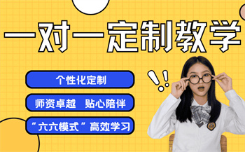 一對一定制教學(xué)
