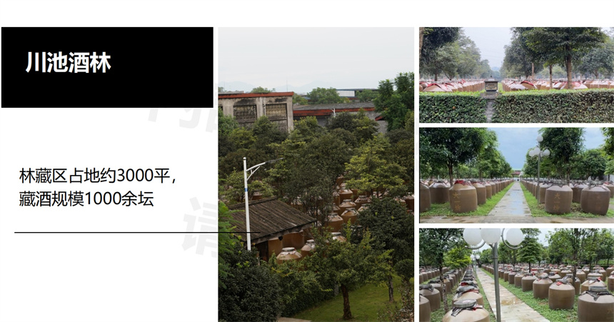 微信截圖_20250528151314.jpg