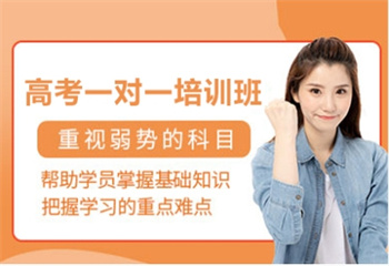 高考一對(duì)一培訓(xùn)班